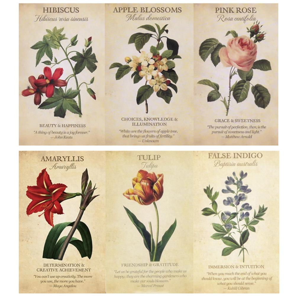 Botanical Inspiration Oracle c - Board Game Inspiration incelemesi ve fiyatı