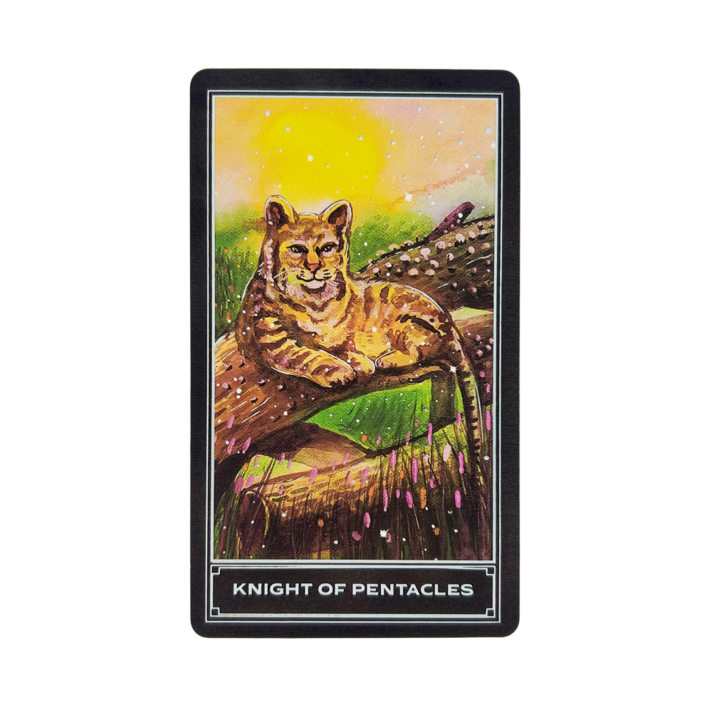 The Enchanting Earth Tarot Car - Board Game Inspiration incelemesi ve fiyatı