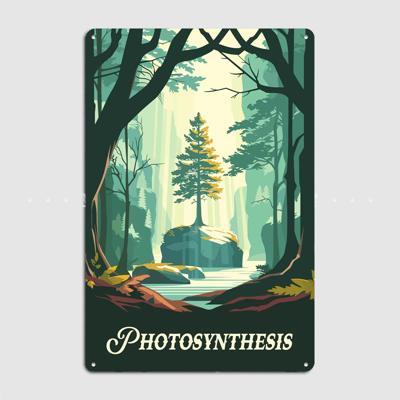 Photosynthesis Board Game Insp - Board Game Inspiration incelemesi ve fiyatı